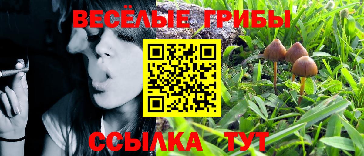 Псилоцибиновые грибы GOLDEN TEACHER Салехард