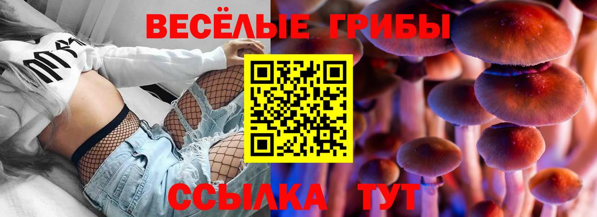 Псилоцибиновые грибы ЛСД  Вход с VPN  Салехард 